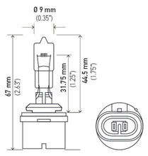 Load image into Gallery viewer, Hella Bulb 892 12V 16W Pg13 T325